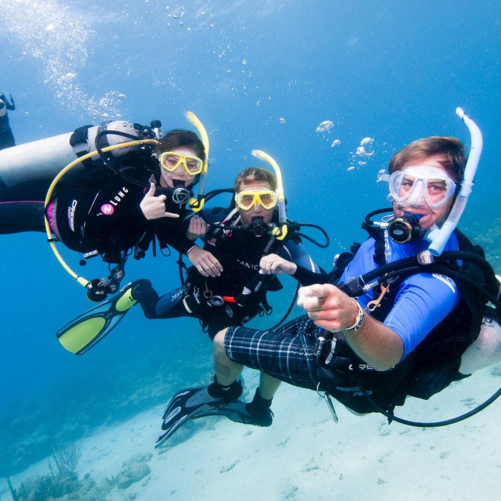 Padi Reactivate