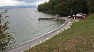 plagestdisdille