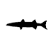 Barracudas