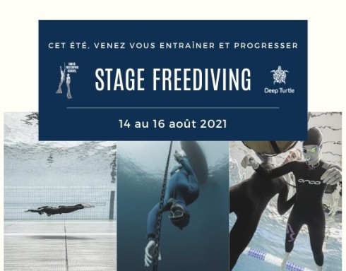 Stage apnée