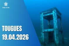 Tougues