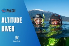 Altitude DT