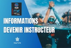 Informations IDC DT
