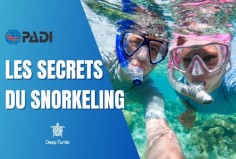 snorkeling DT
