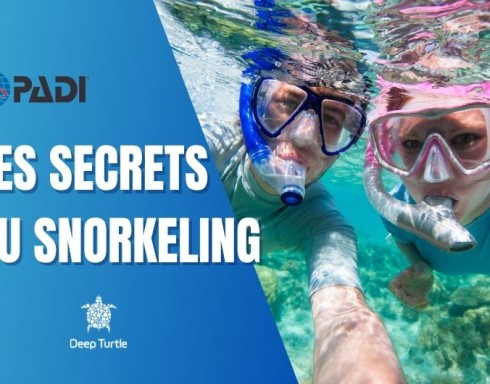 snorkeling DT