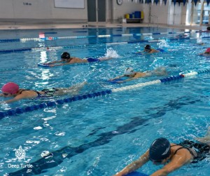 AquaPalmes