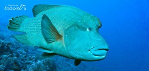 Palau