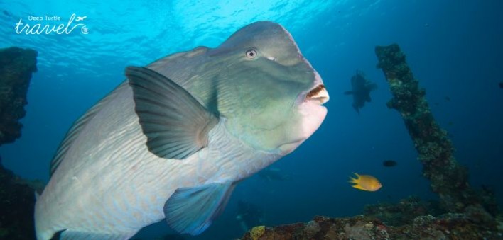 Palau
