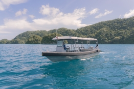 Bateau annexe
